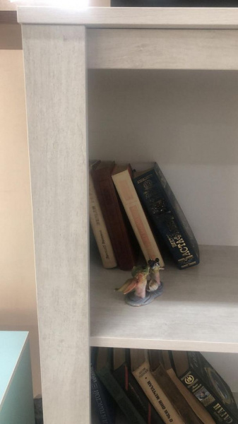 Фото Шкаф-стелаж низкий Твист 08